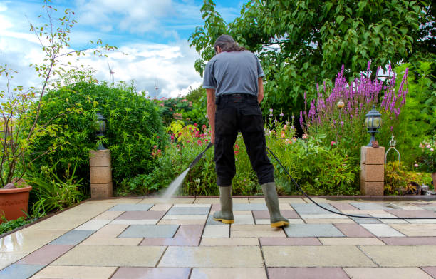 Best Winterizing Services  in North Randall, OH
